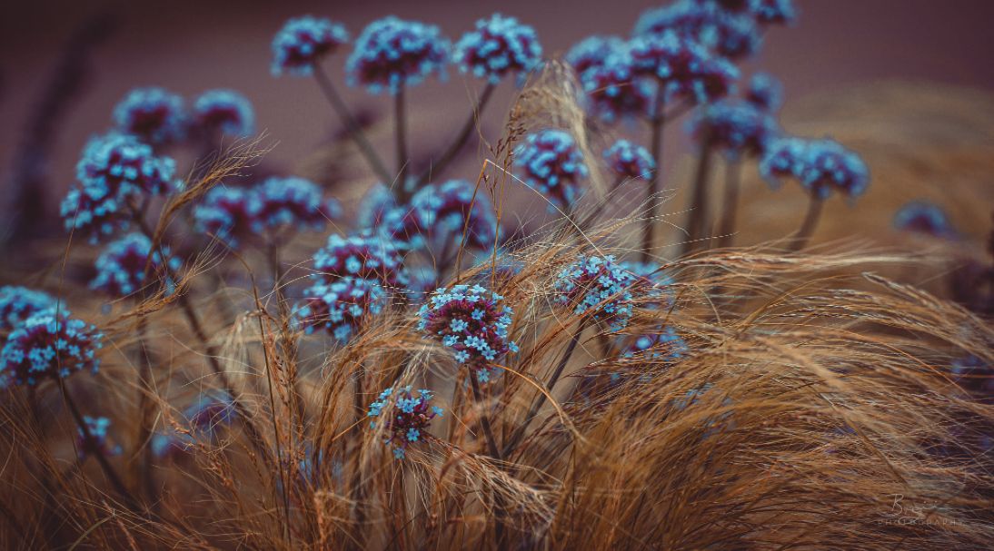 Anmerkung-2022-01-13-080233-1